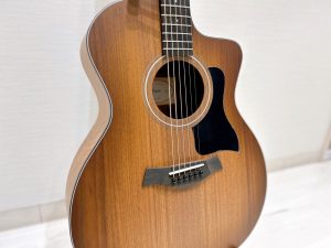 Taylor 124ce Special Edition ― 大分店に入荷しました！【高解像度サウンドを実現。】
