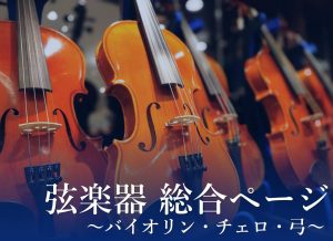 【弦楽器】バイオリンを選ぶなら、島村楽器イオンレイクタウン店へご相談ください♪