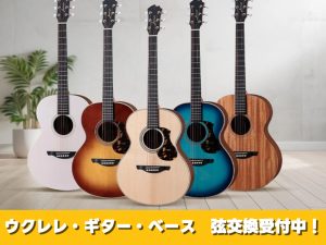 大切な楽器の弦交換、豊川店で行います！