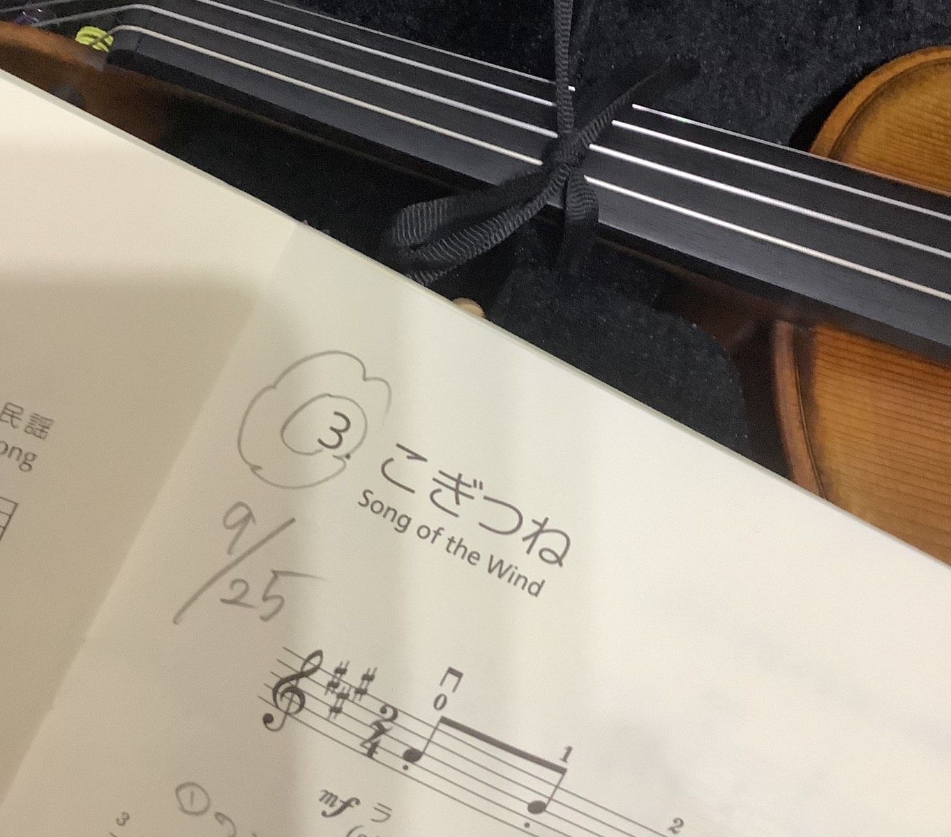 バイオリン日記vol.13　「ば、、倍音・・・？！」