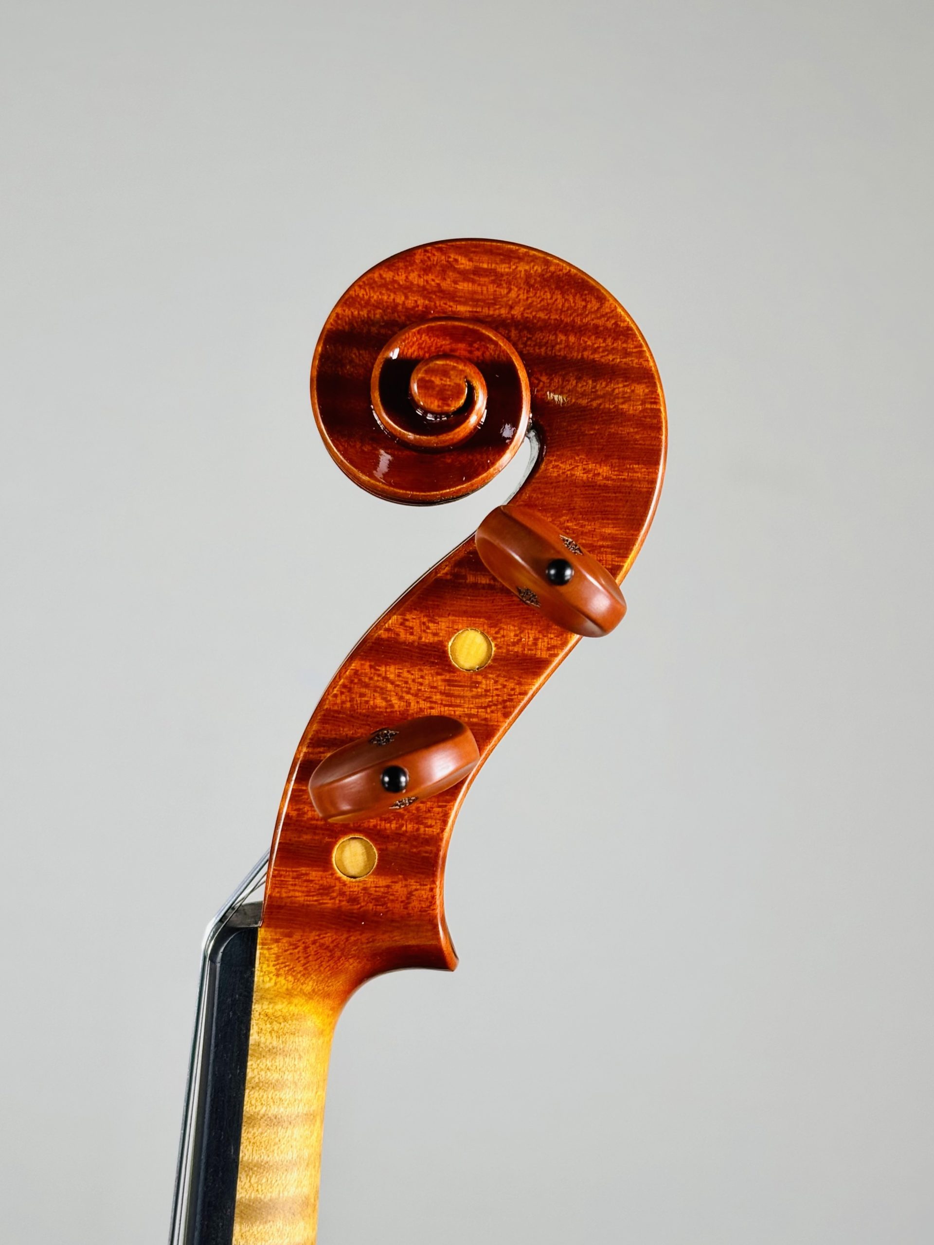 Nicola Lazzari, Italy – Cremona, 2025, Model: Antonio Stradivari 1703　ヴァイオリン　ニコラ・ラッザリ