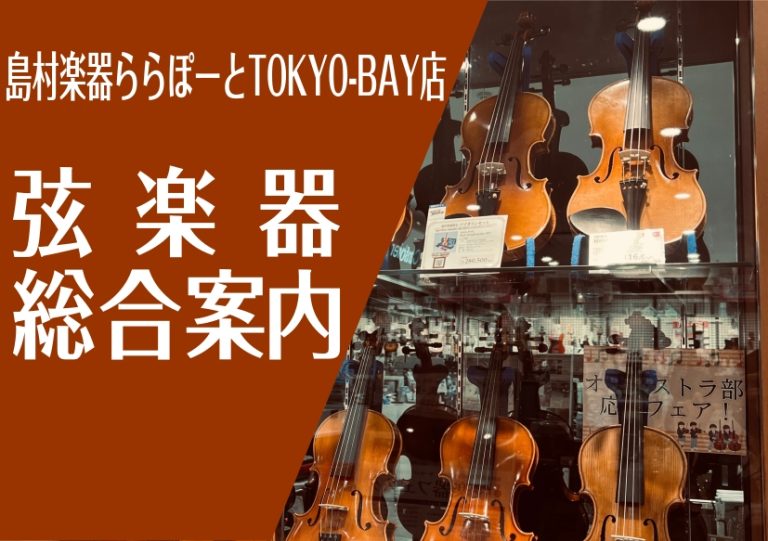 弦楽器総合案内