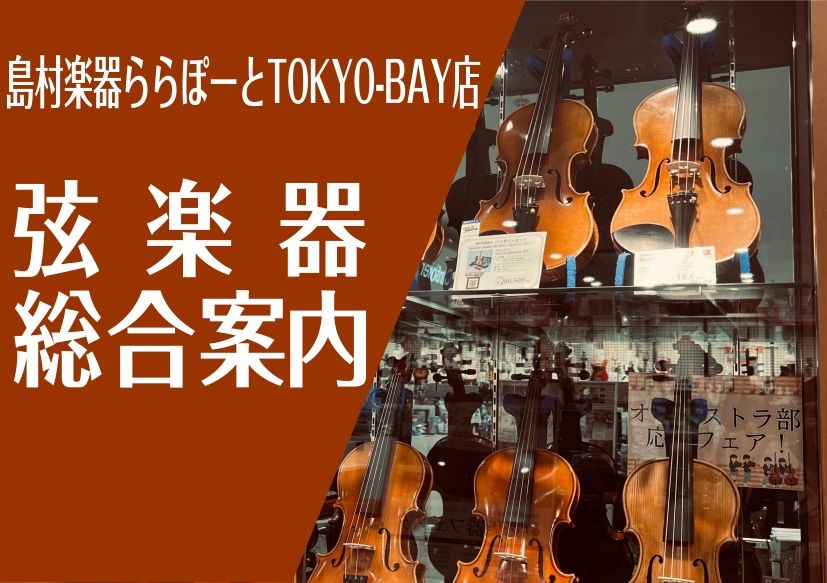 弦楽器総合案内