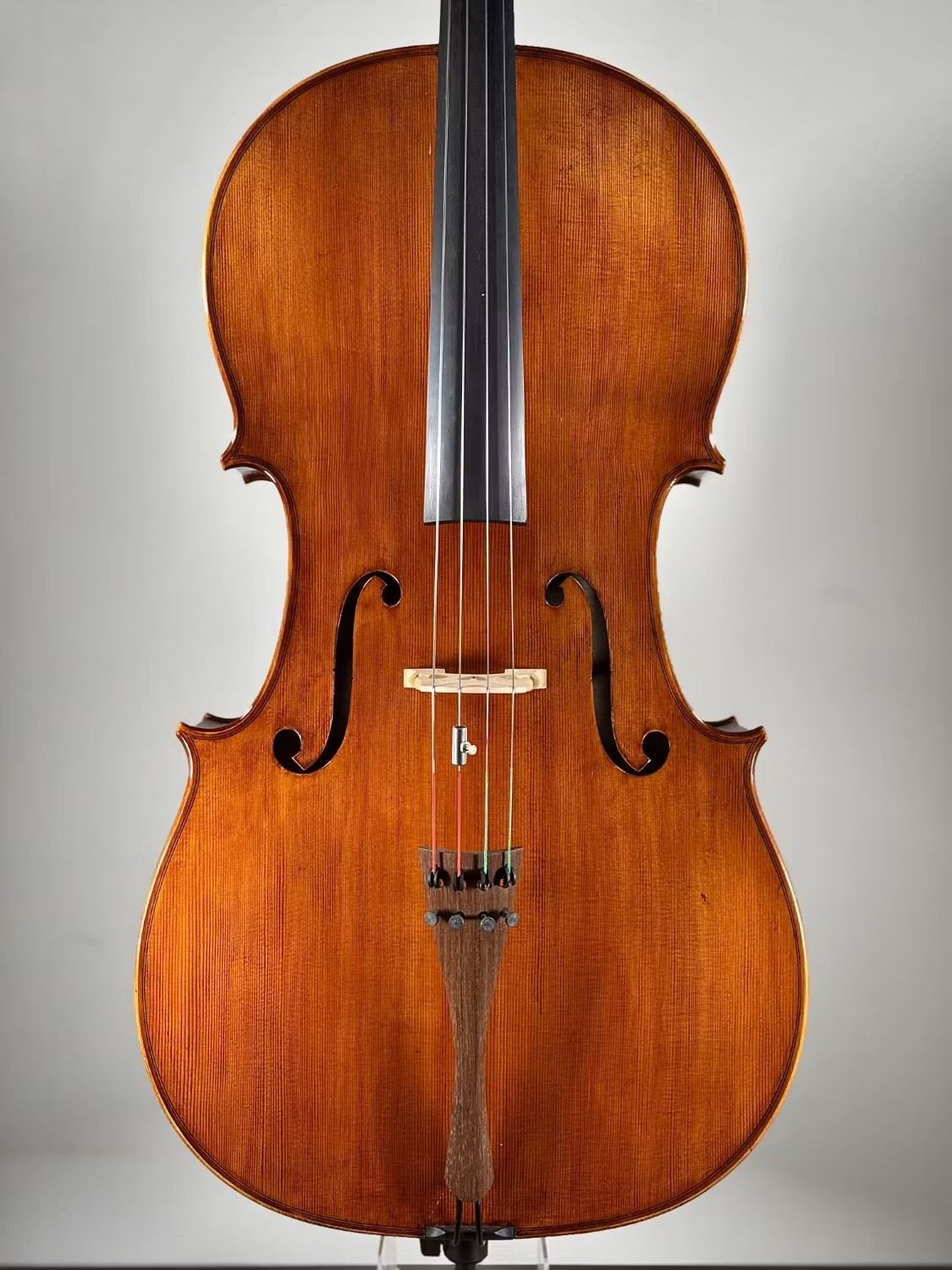 【製作家のご紹介】Thomas Stohr／トマス・シュトア【弦楽器フェスタ2025冬】
