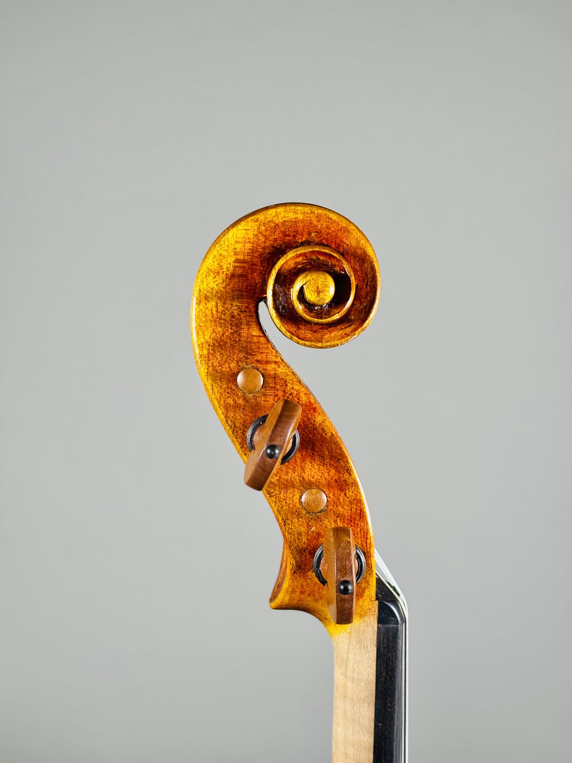Kenji Miyagawa, Italy – Casalmaggiore, 2025, Model;Giovanni Battista Guadagnini ヴァイオリン 宮川賢治