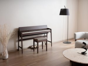 🆕【島村楽器限定モデル】Roland × 島村楽器「きよら」オリジナルモデル、11/27発売 — 予約受付開始！