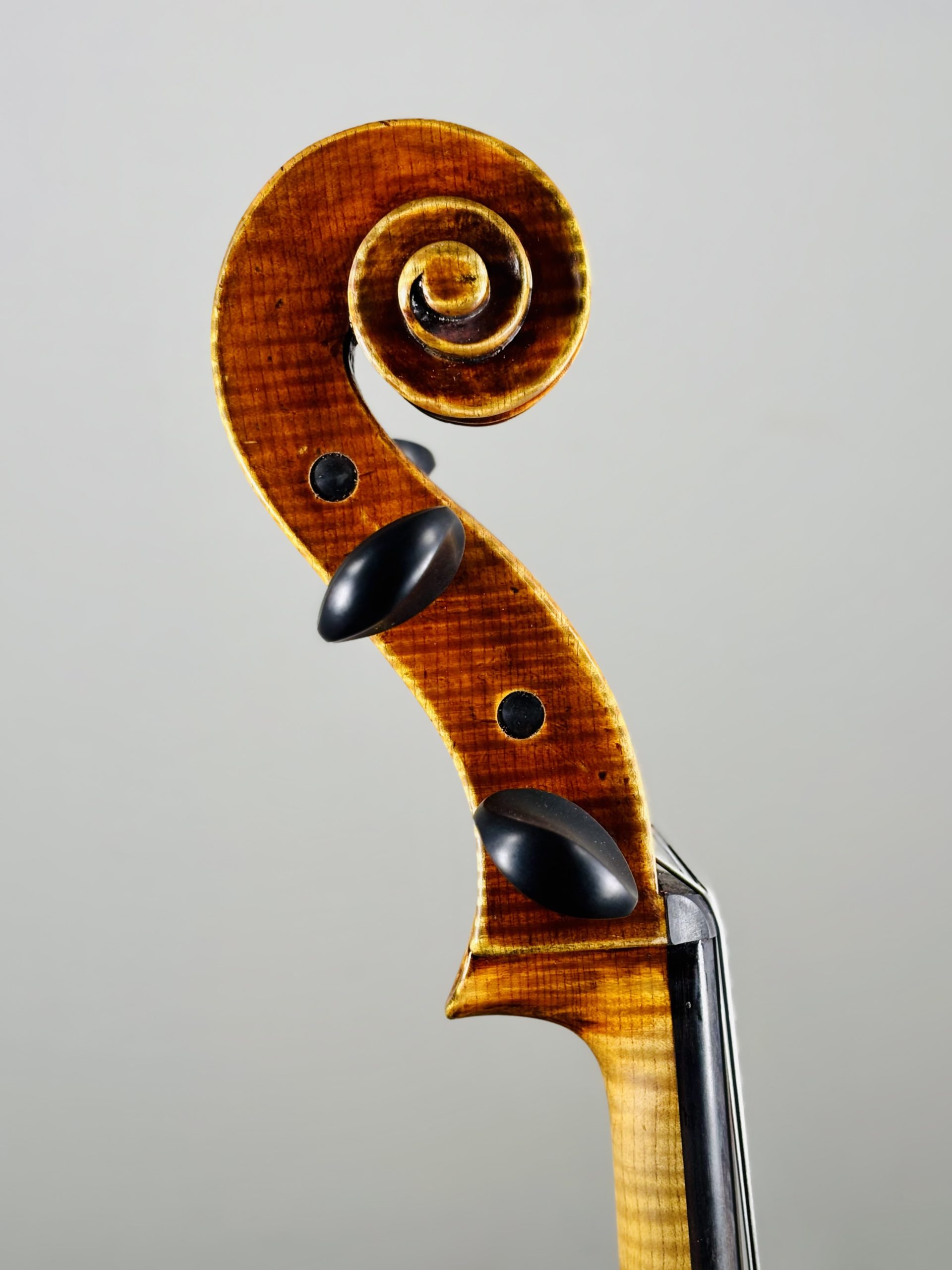 Attributed to the Hungarian School, late 20th century　チェロ　ハンガリアン・スクール