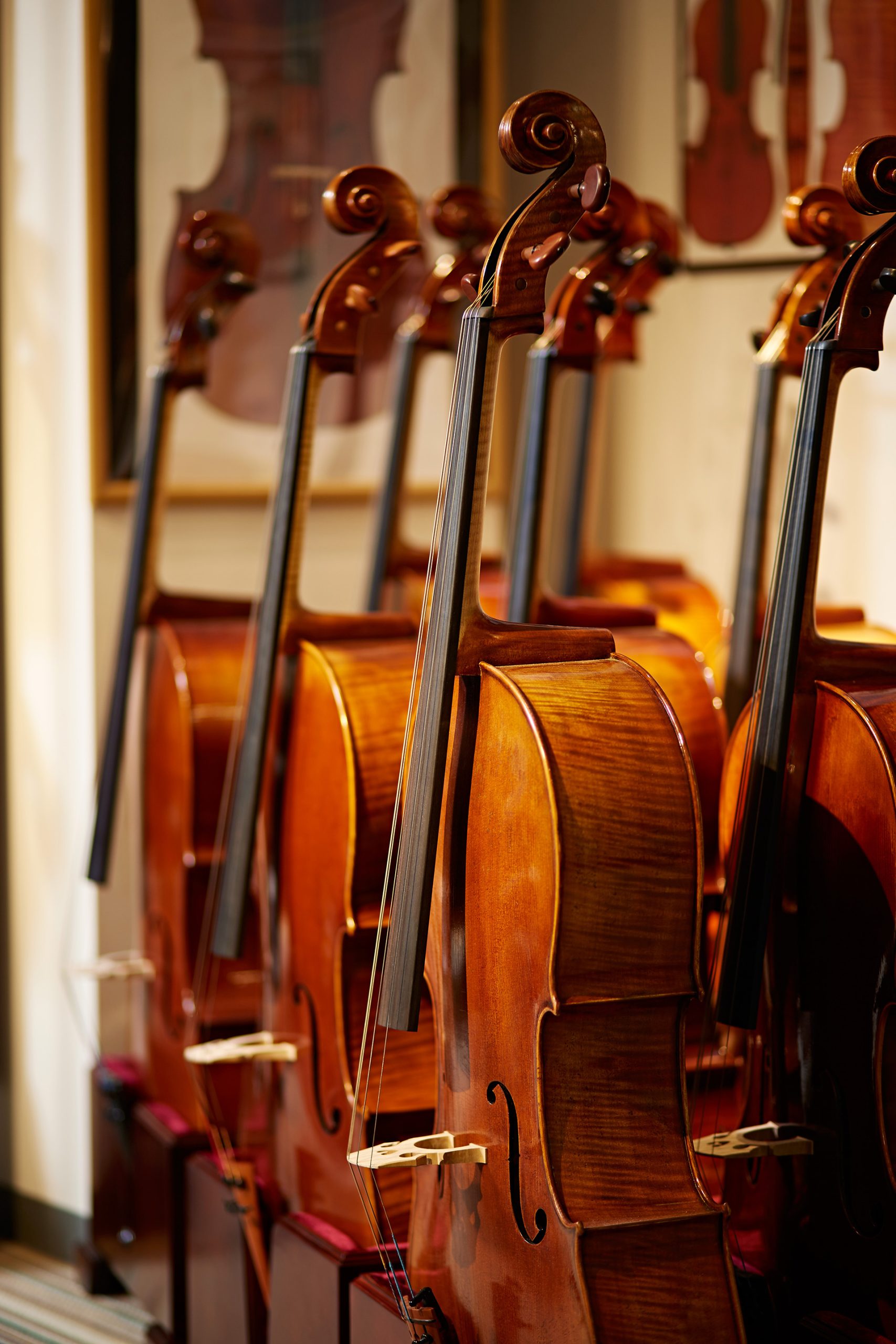 チェロ 展示楽器一覧　Violoncello Stock List