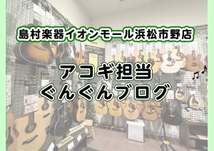 【アコースティックギター】島村楽器イオンモール浜松市野店セール商品のご紹介　2026年2月更新
