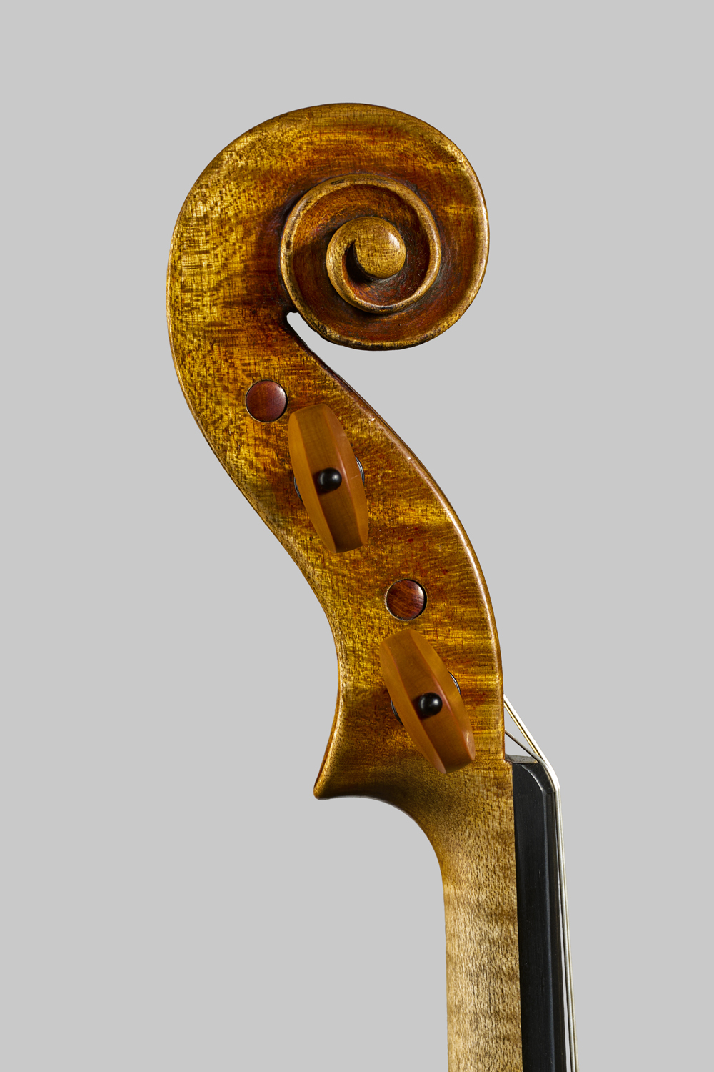 Maurizio Tadioli, Italy – Cremona, 2026, Model; Jean-Baptiste Vuillaume 1855　ヴァイオリン　マウリツィオ・タディオリ