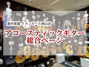 2026最新【アコースティックギター総合案内】アコースティックギターのことならイオンモール岡山店へ