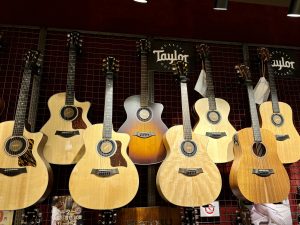須坂店　Taylor Guitars　ラインナップ