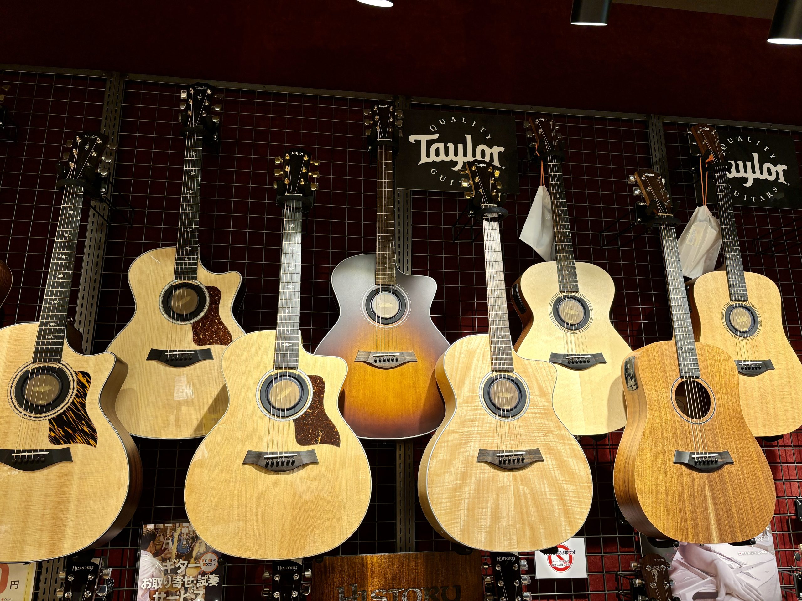 須坂店　Taylor Guitars　ラインナップ