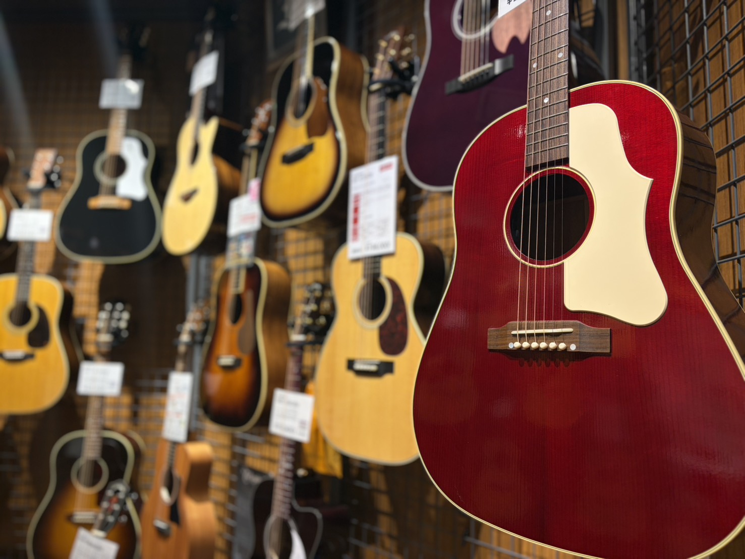 千葉県、東京都でアコースティックギターをお探しなら島村楽器市川コルトンプラザ店へ🎸🎶