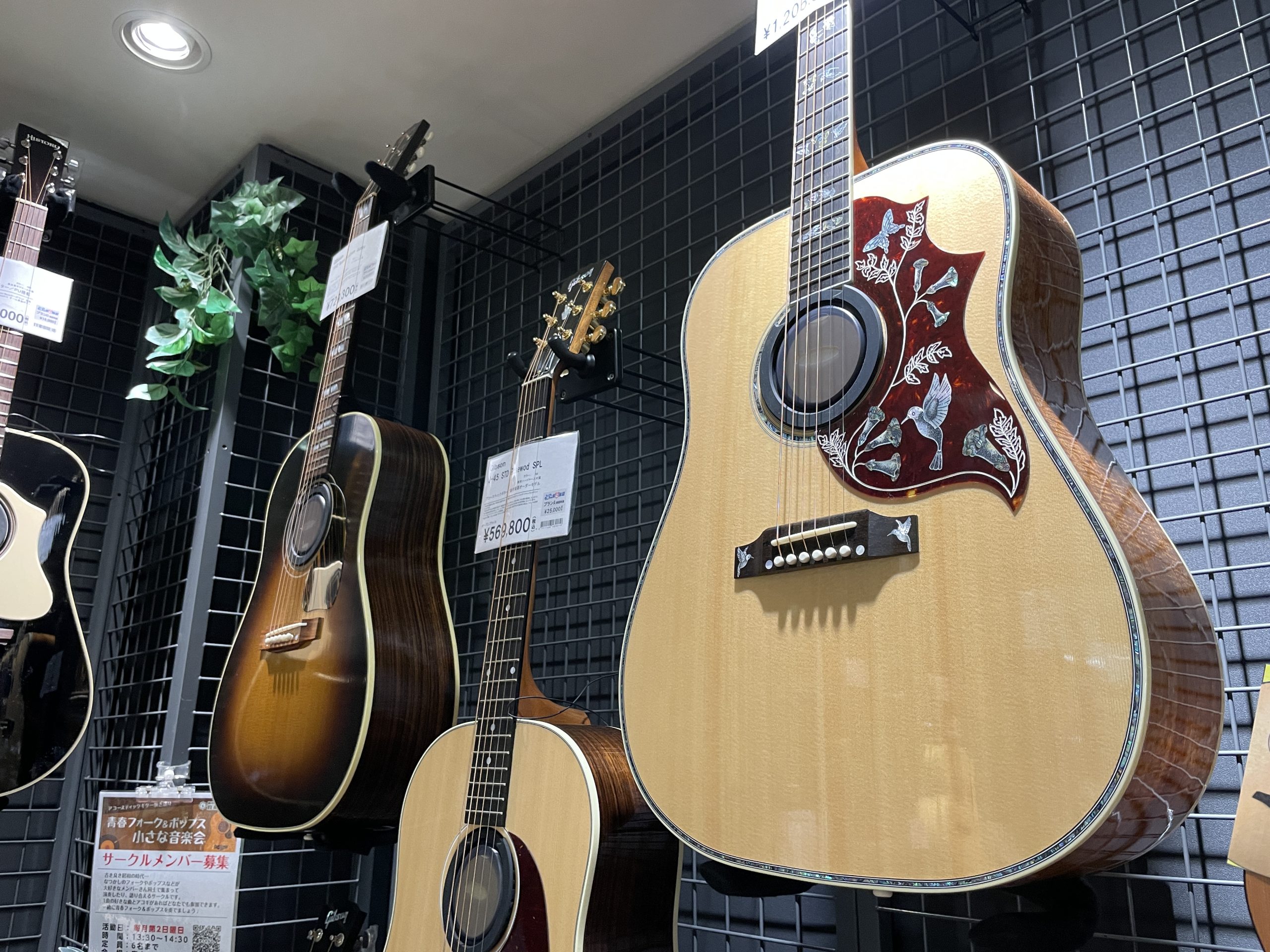 GIBSONアコギ6本品揃えございます！