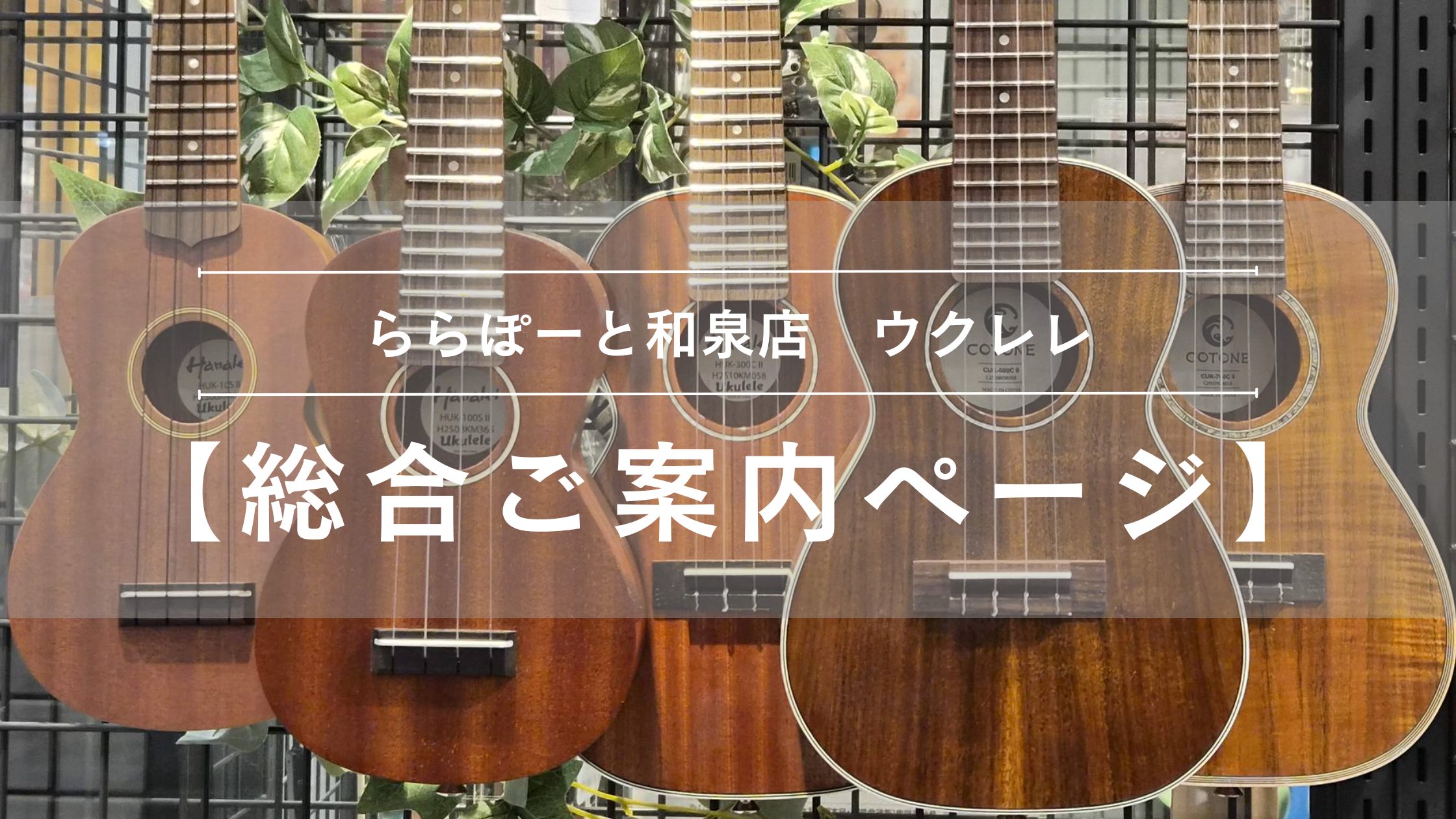 【ウクレレ総合ご案内ページ】人気モデルを常時展示！初心者から上級者まで徹底サポートします♪