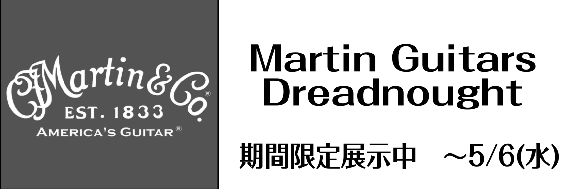【点検会/フェア】Martin点検会＆ギターフェアを開催いたします！