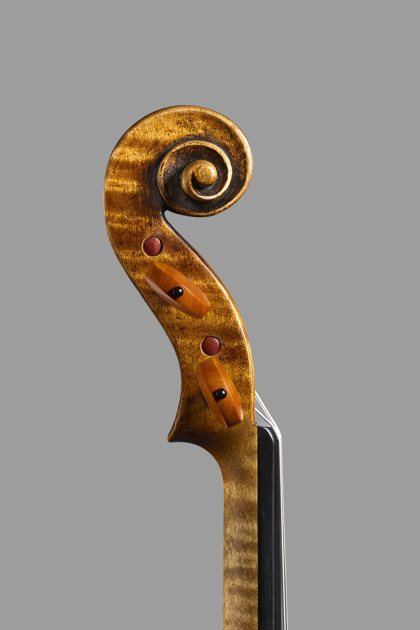 Maurizio Tadioli, Italy – Cremona, 2026, Model; Guarneri del Gesu