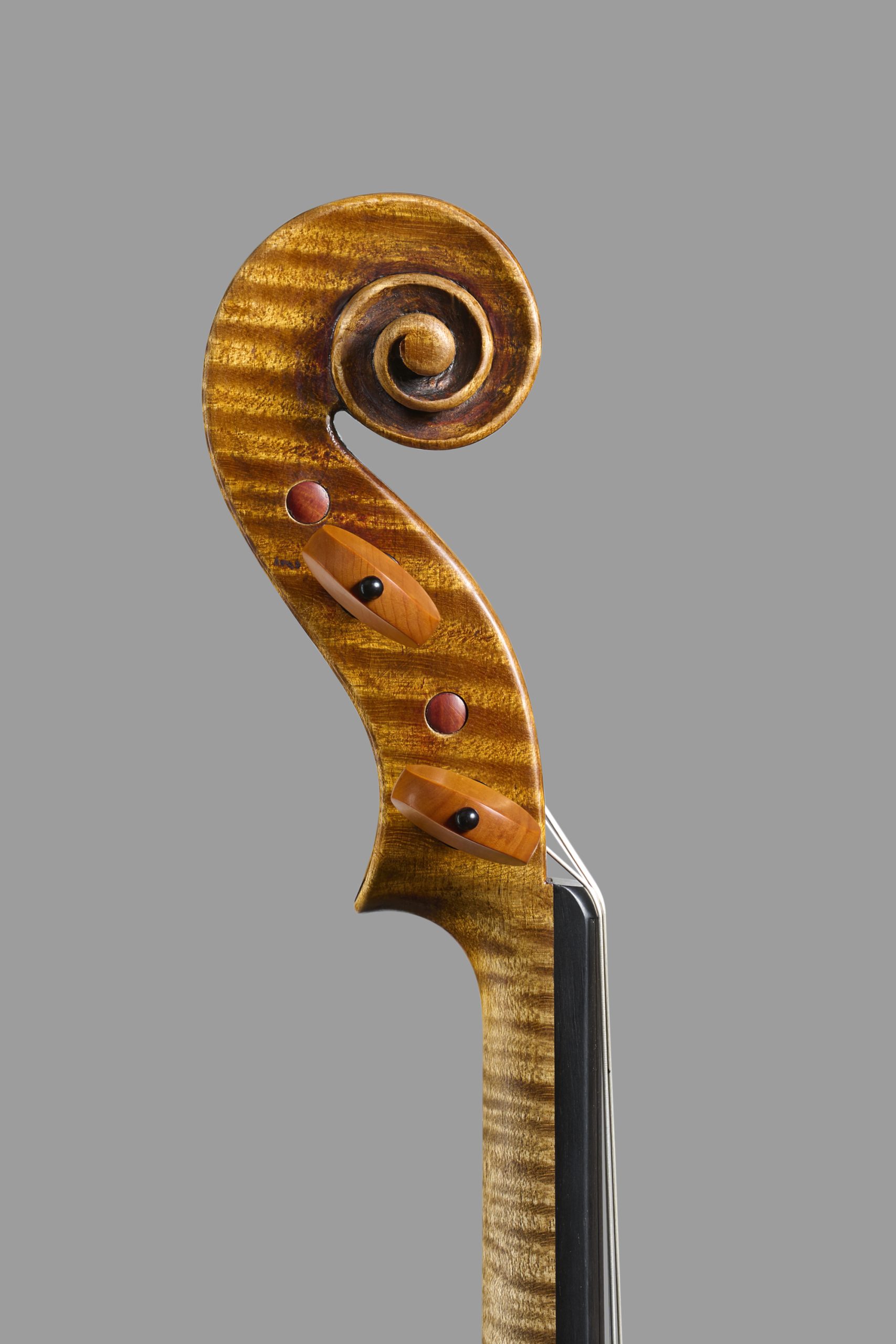 Maurizio Tadioli, Italy – Cremona, 2026, Model; Guarneri del Gesu