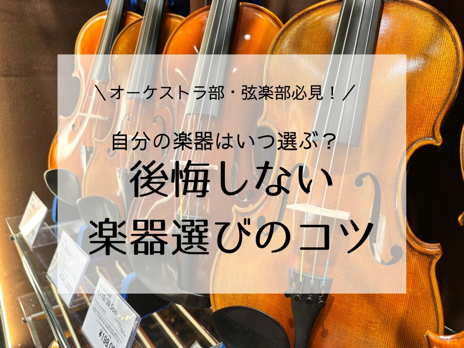 オーケストラ部・弦楽部】 自分の楽器はいつ選ぶ？後悔しない楽器選び
