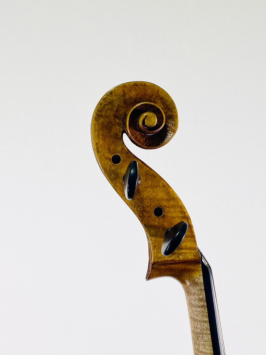 ＜Viola＞ Tetsuya Kimura, Japan – Tokyo, 2026, Model; Andrea Guarneri 1690