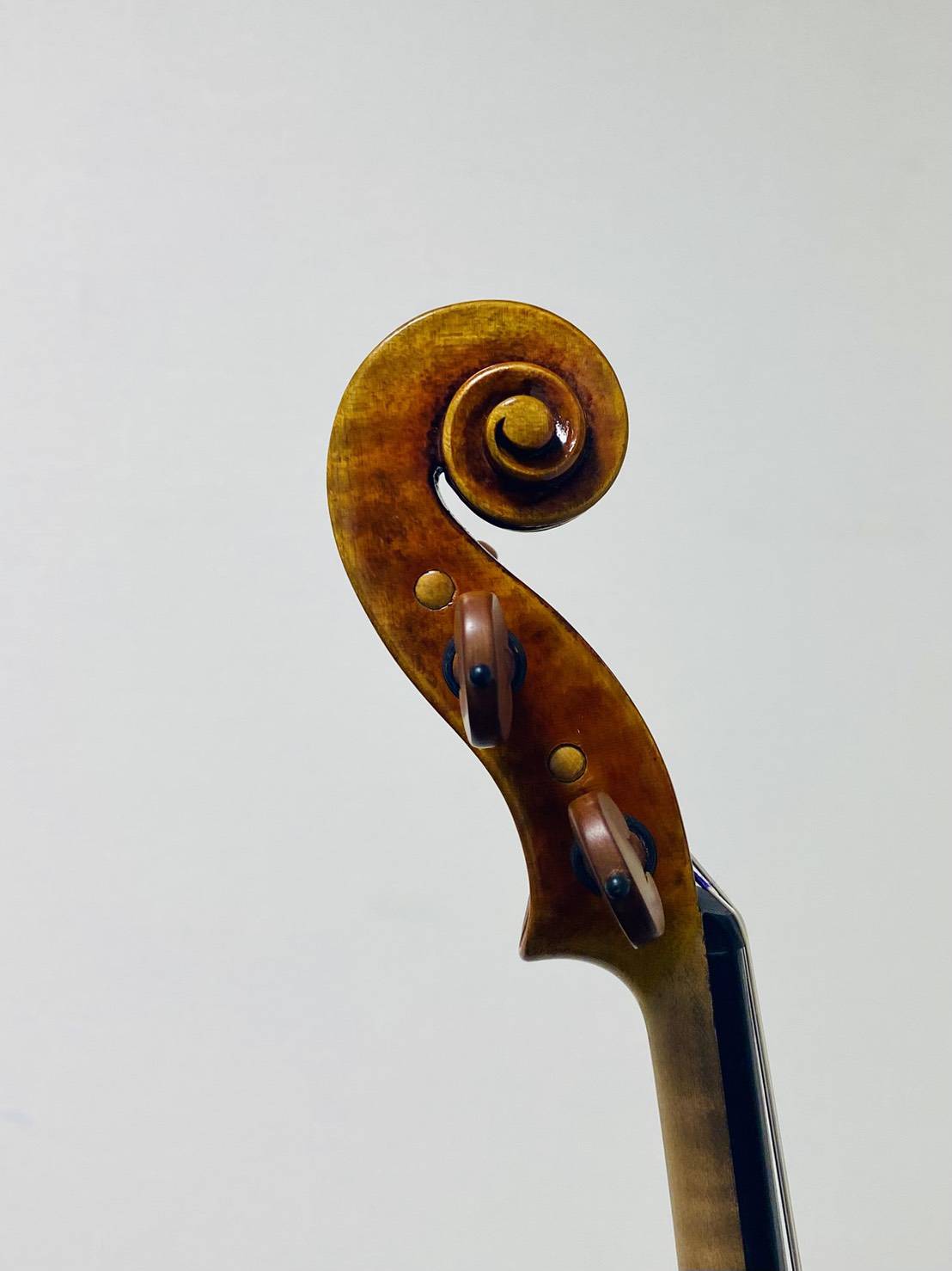 Kenji Miyagawa, Italy – Casalmaggiore, 2026, Model; Antonio Stradivari　ヴァイオリン　宮川賢治