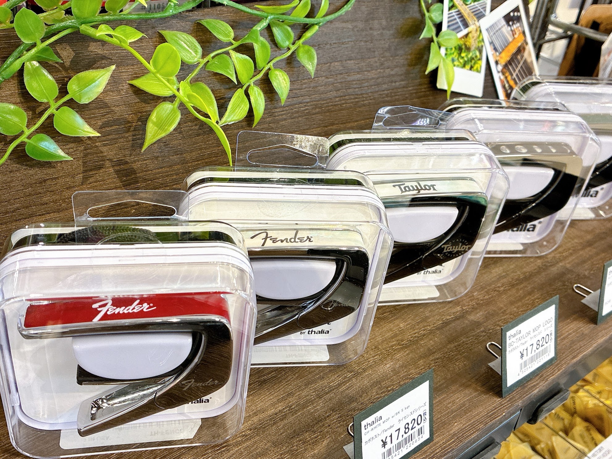 Thalia Capos (タリア・カポ) 大分店でお取扱い中✨ギタリストが憧れる