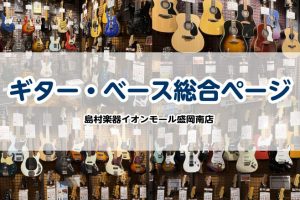 🎸【ギター・ベース総合案内】初めての1本から至高のモデルまで徹底サポート！イオンモール盛岡南店で最高の音楽生活をスタートしよう！