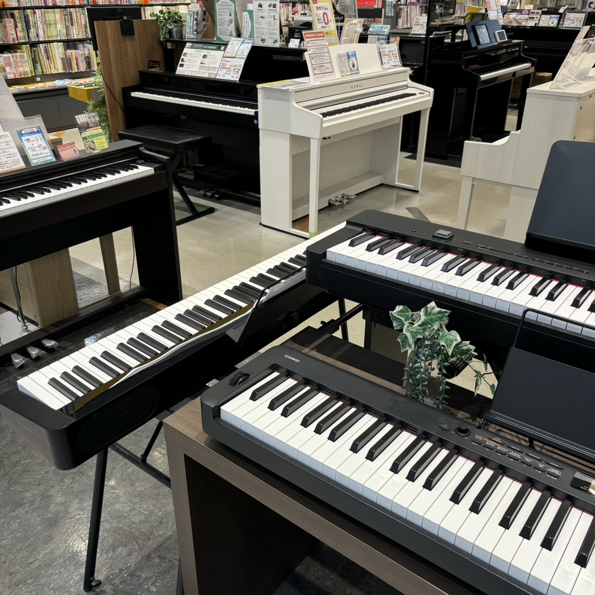 【電子ピアノ】習い始めて半年～1年の方必見！電子ピアノの選び方🎹