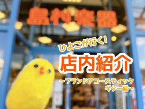 【ひよこが行く！】島村楽器大分店＊店内紹介～アコースティックギター(ブランドギター)編～