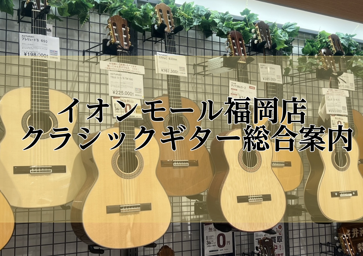 【クラシックギター総合案内】島村楽器イオンモール福岡店
