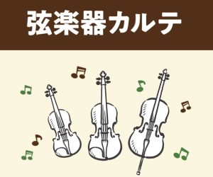【弦楽器アフターサポート】弦楽器カルテはじめました！