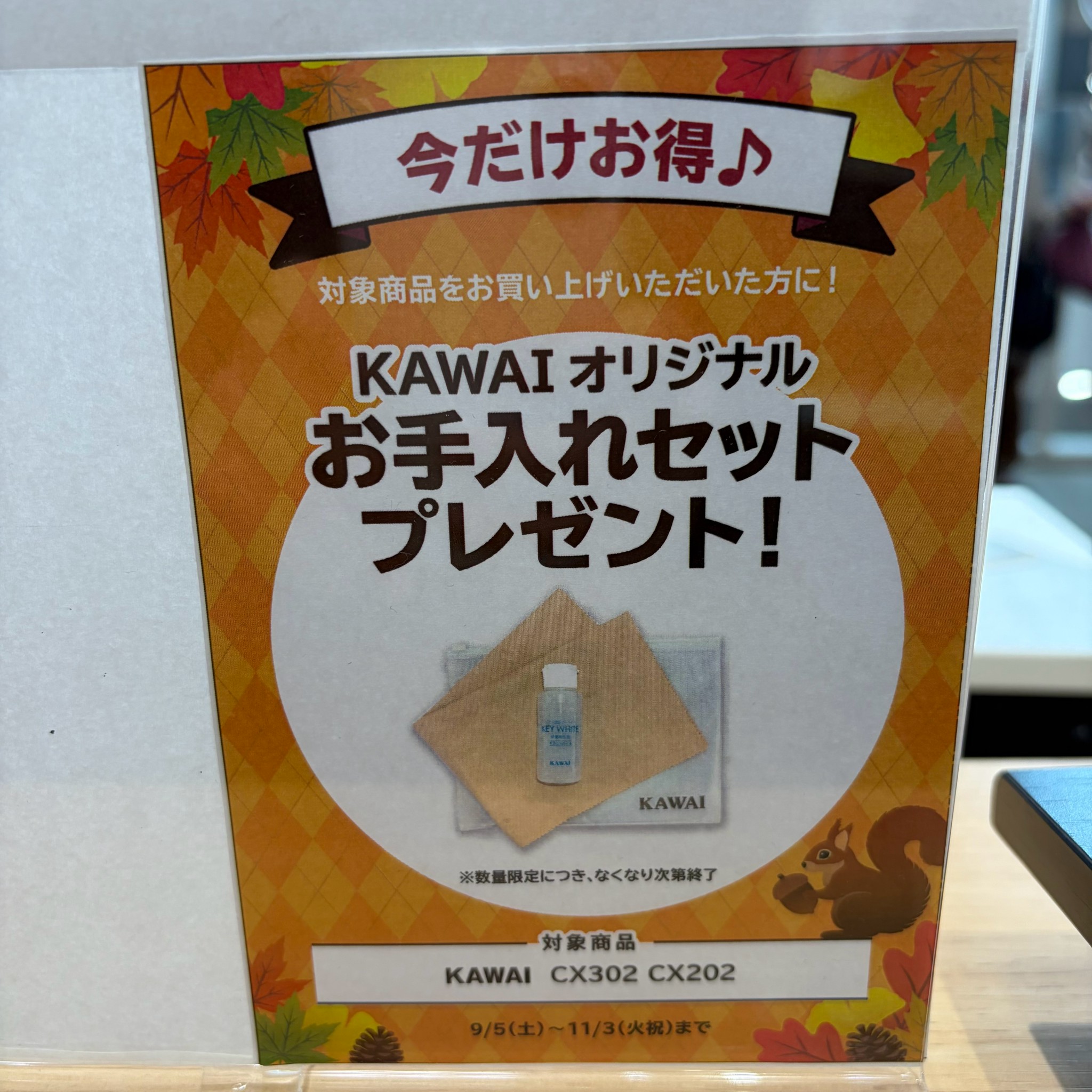 お手入れセットプレゼント！