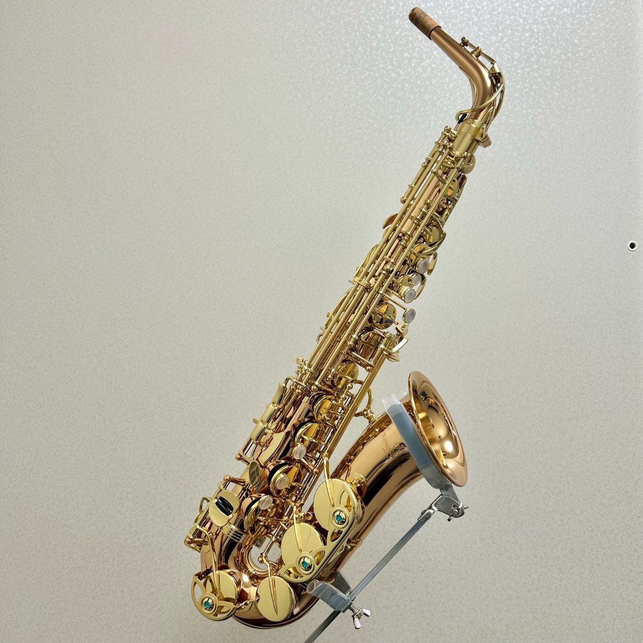 YANAGISAWAA-WO2