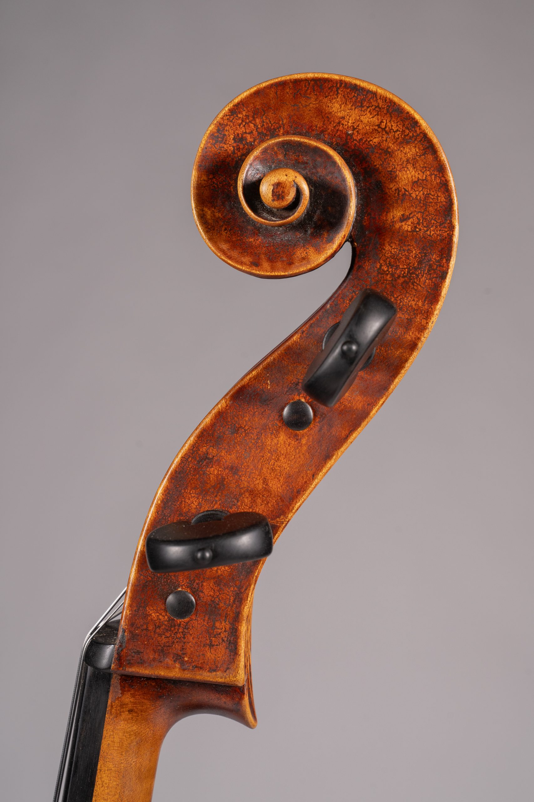 Gianluca Montenegro,Italy – Firenze, 2026, Model; Dominico Montagnana 1740 　チェロ　ジャンルカ・モンテネグロ