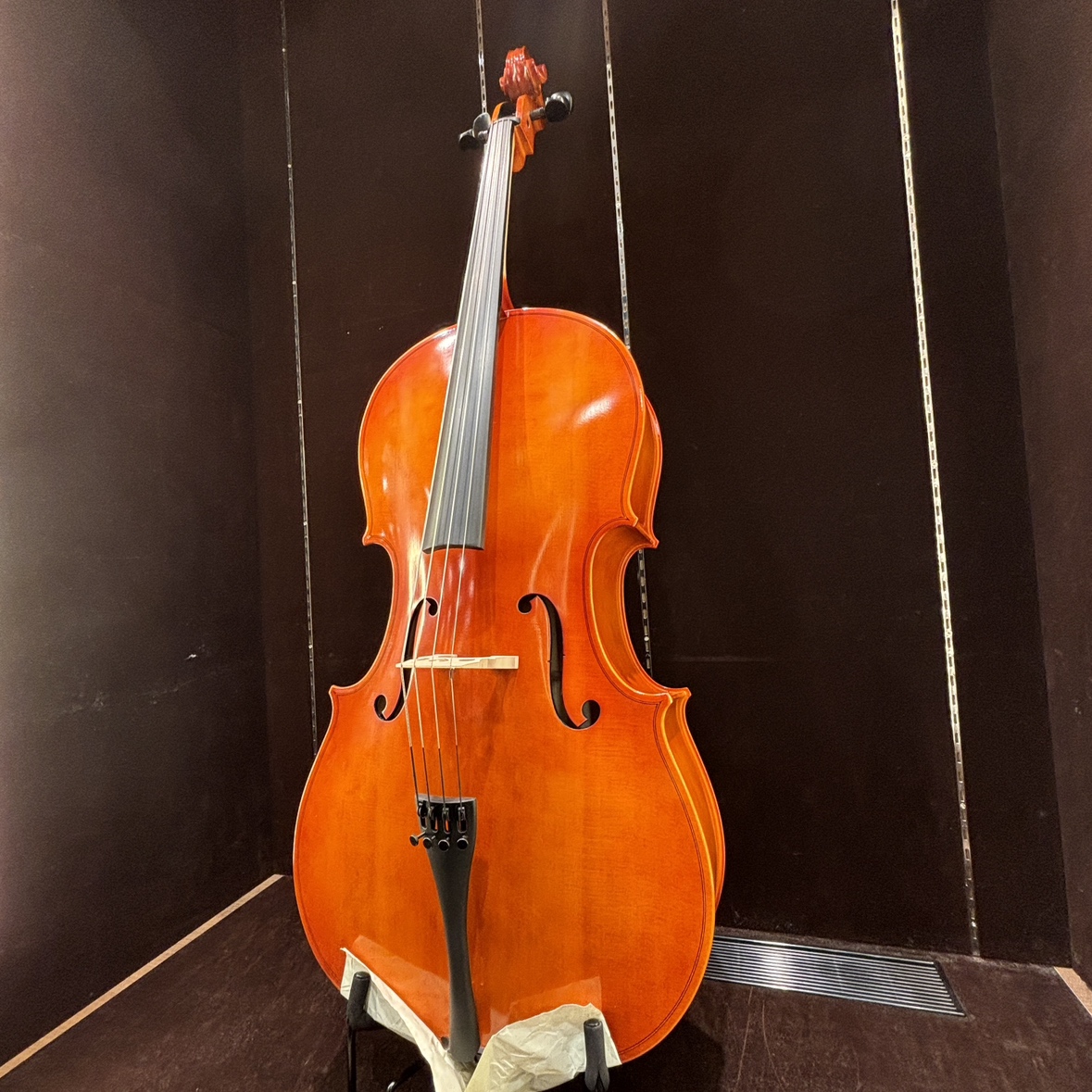 チェロCarlo giordano SC-100 4/4