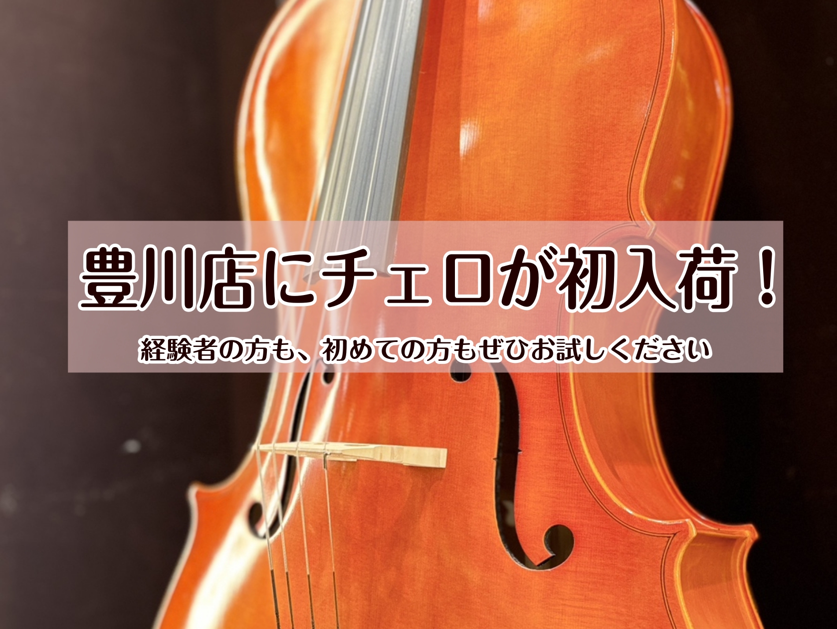 豊川店にチェロが初入荷！