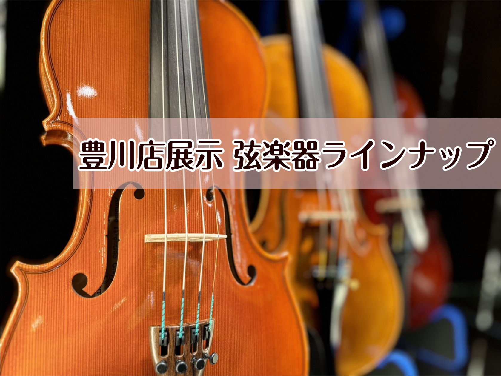 　豊川店展示品弦楽器のご紹介