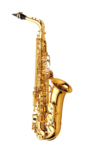 YANAGISAWAA-WO1