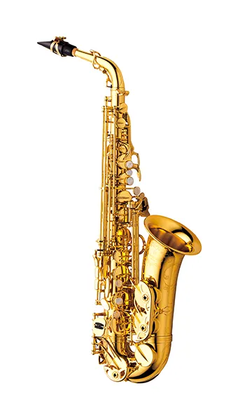 YANAGISAWAA-WO10