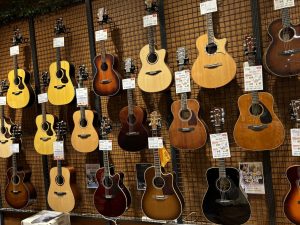 平塚でアコースティックギターを選ぶなら島村楽器ららぽーと湘南平塚店へ！
