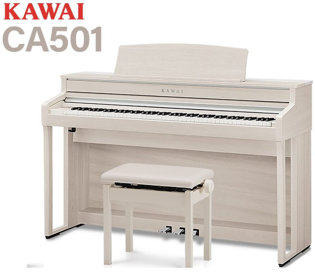 CA501