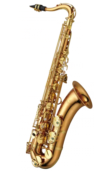 YANAGISAWAT-WO2