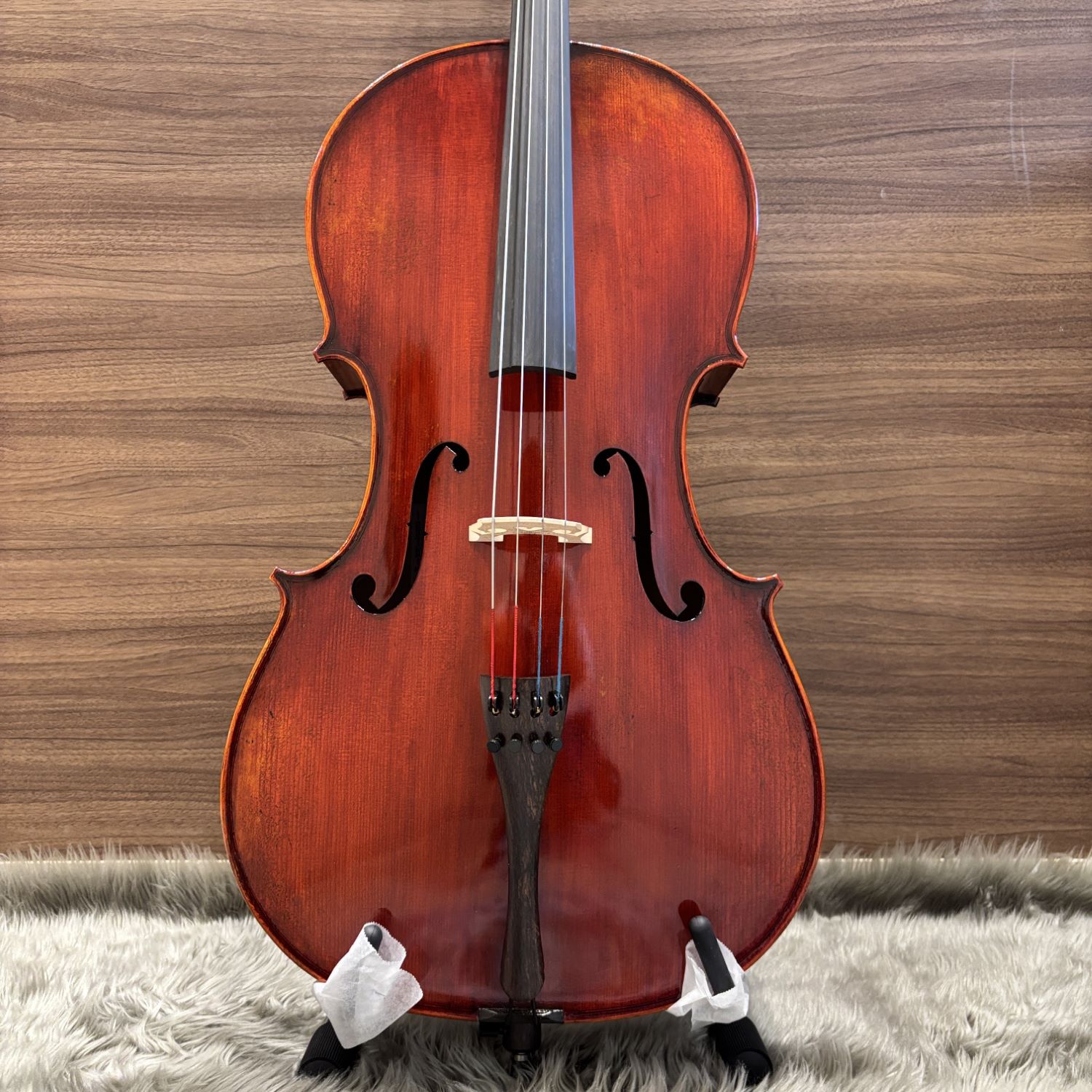 EastmanVC505 Premium+Bow