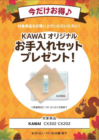 🎁期間限定でこちらをプレゼント！