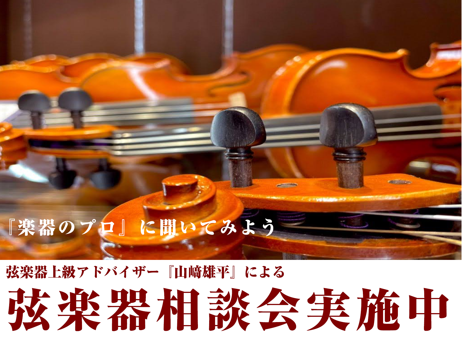 【楽器選び・調整・買取】弦楽器相談会随時開催中！【上級アドバイザーにご相談ください】