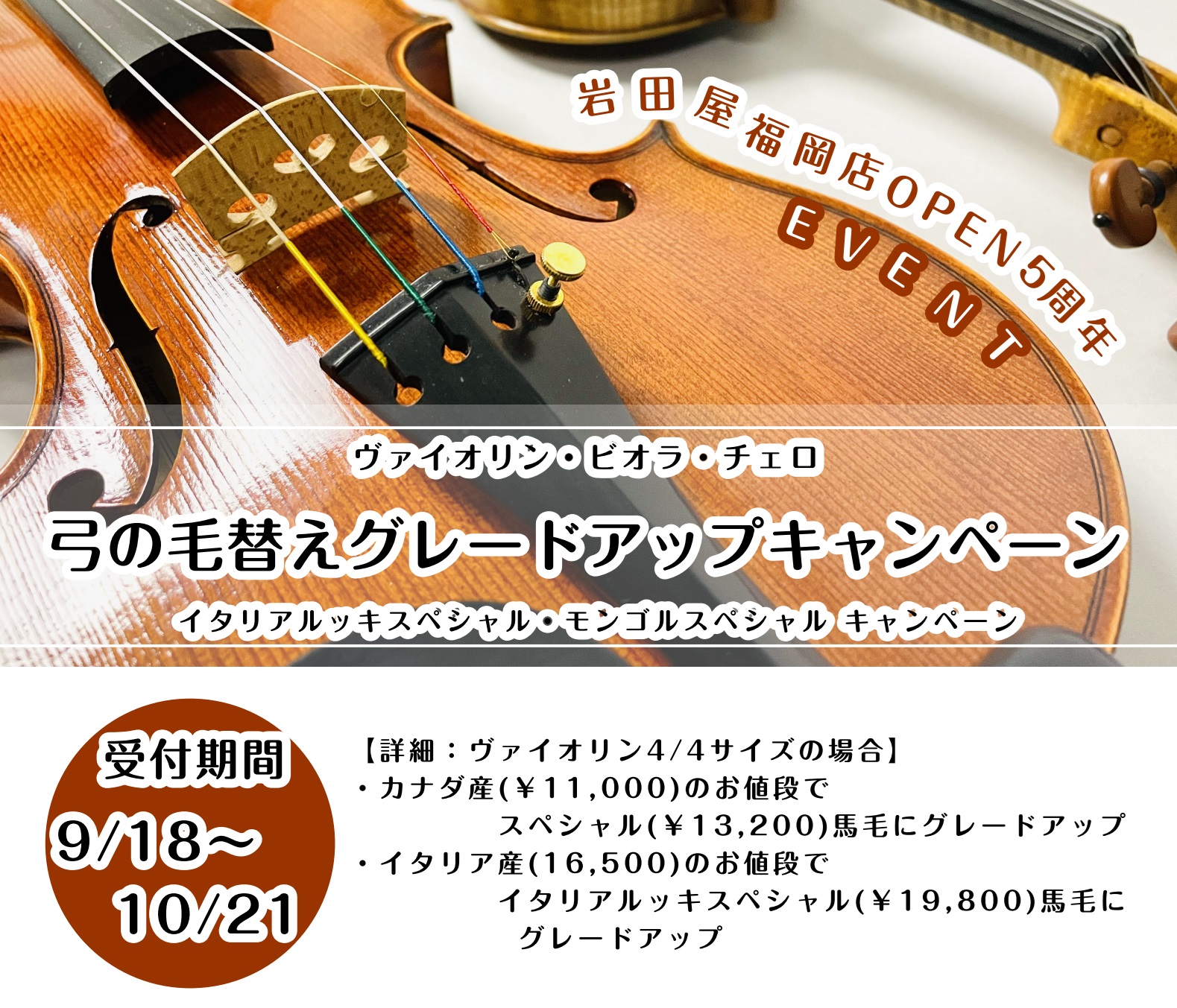 【弦楽器】期間限定　毛替えグレードアップキャンペーン