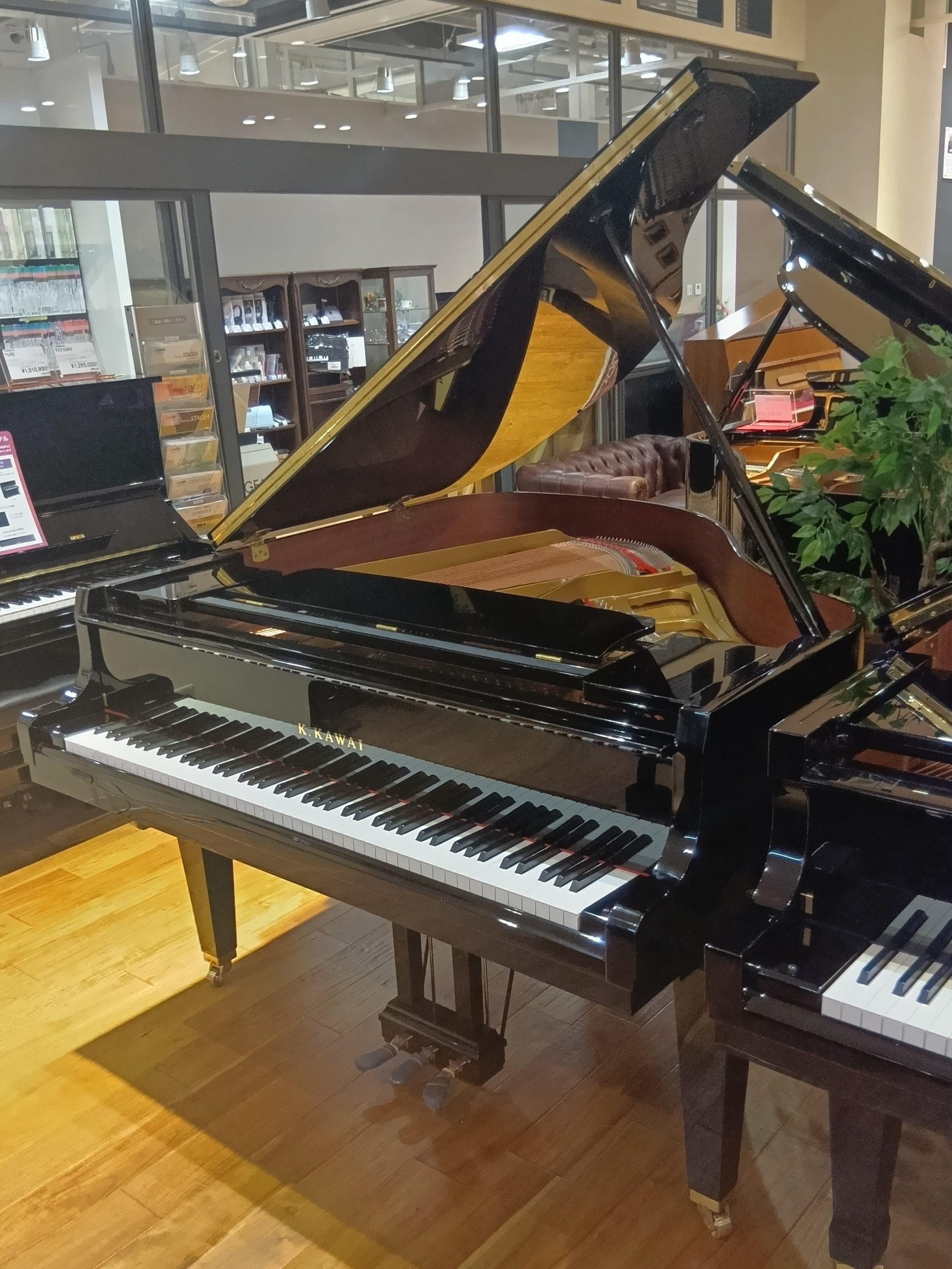 KAWAIGL-10 中古