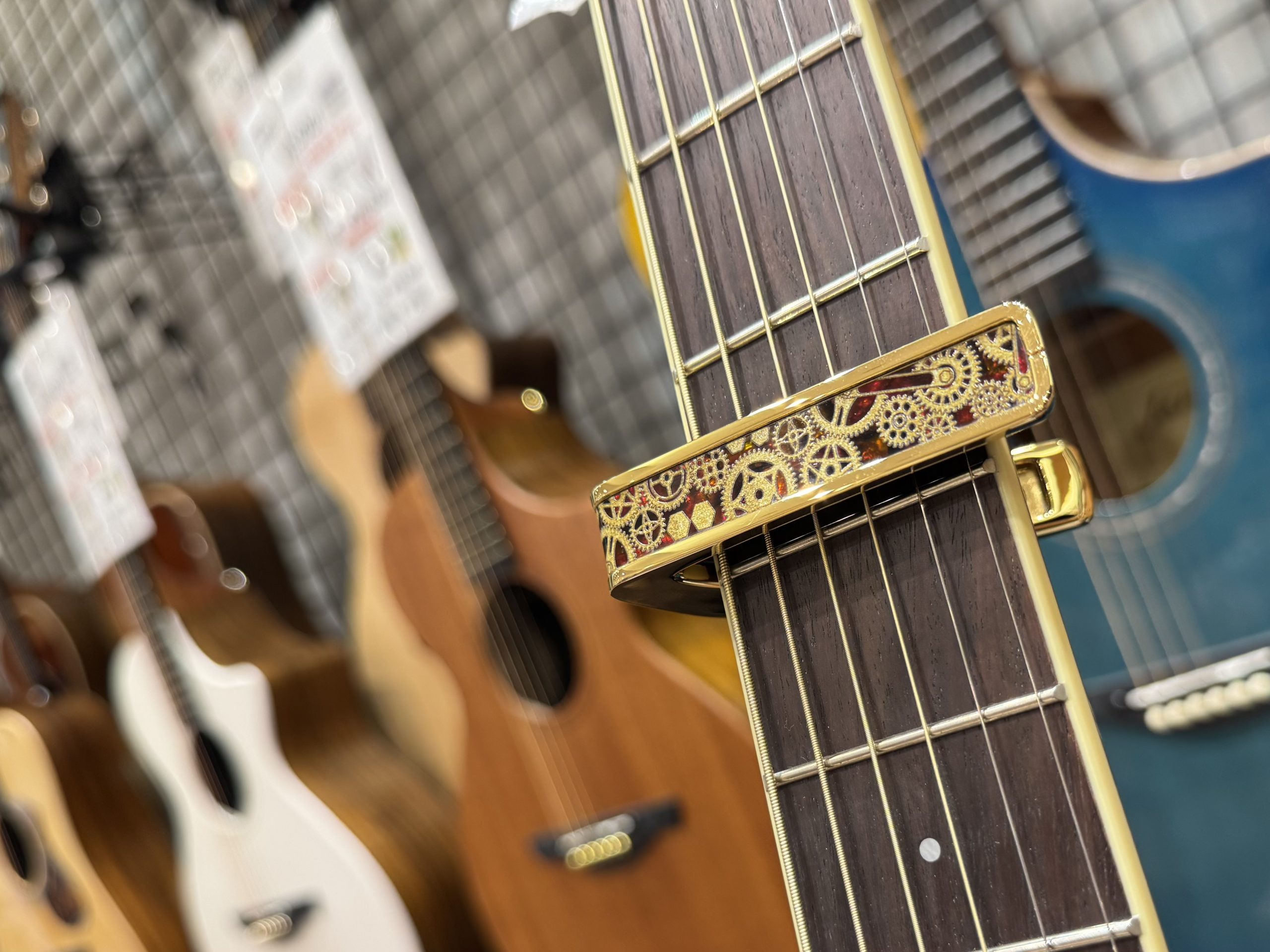【Thalia Capos】入荷致しました！