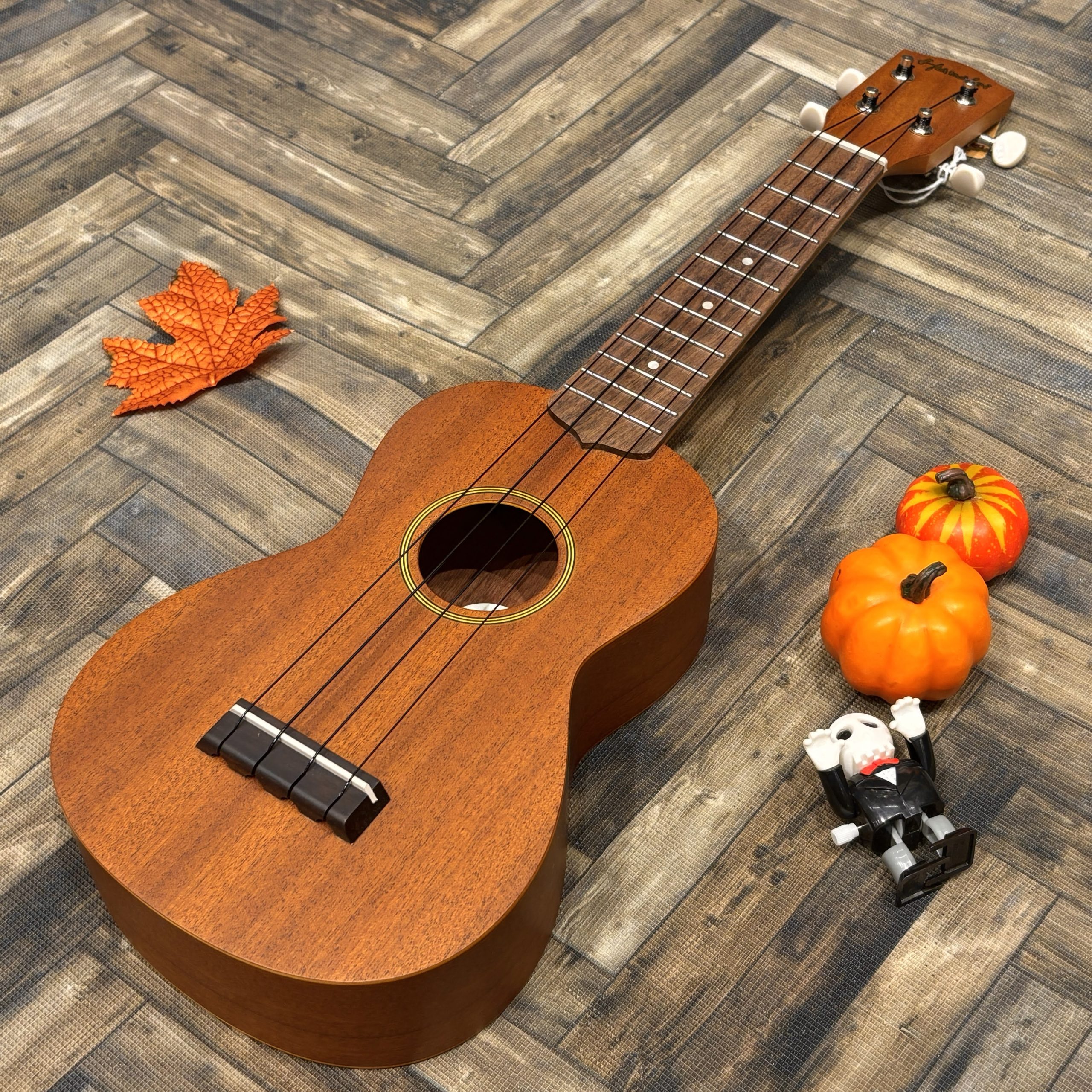 手軽に始められるケース付の定番商品！Hanalei　ソプラノサイズ　HUK-10SⅡ